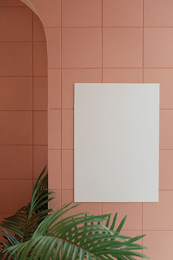 A minimalist coral wall with a blank canvas and green foliage decor. HD phone wallpaper