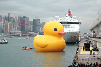 Giant Rubber Duck HD wallpaper