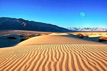 Desert, cool, moon HD wallpaper