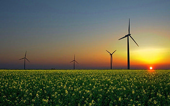Windmill at Sunset, windmill, field, sky, nature, flowers, sunset HD wallpaper