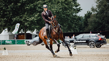 Equitation sports, Wed turnieremessen, Working equitation, German equitation HD wallpaper
