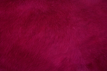 Texture, Textures, Surface, Fur HD wallpaper