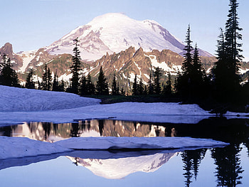 Nature, Trees, Mountains, Snow, Vertex, Top, Lake, Shadow, Washington HD wallpaper