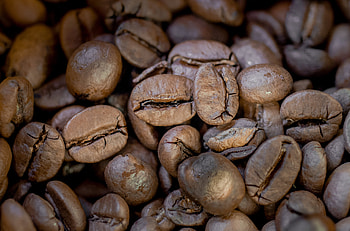 Coffee, Macro, Coffee Beans HD wallpaper
