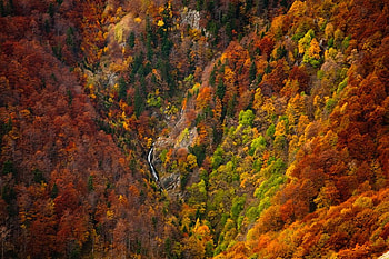 Autumn colors, river, graphy, fall, beautiful, mountain, bulgaria, trees, autumn, forest HD wallpaper