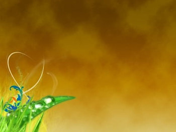 A Leaf, leaf, cloudy, abstract HD wallpaper