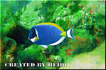 Fish underwater, underwater, fish, animals, tropical HD wallpaper