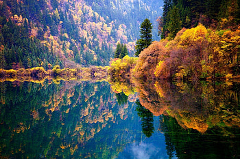 Autumn reflection, China, Autumn, Forest, Trees, National park HD wallpaper