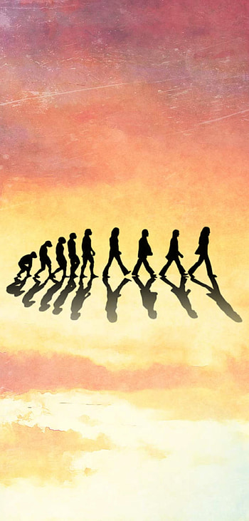 The Beatles Evolution, Paul_Mccartney, The_Beatles, Abbey_Road, George_Harrison, John_Lennon, Ringo_Starr HD phone wallpaper