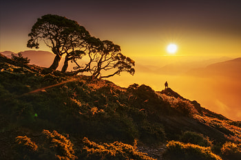 Nature, Sun, Silhouette, Hill HD wallpaper