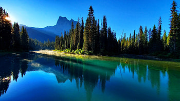 Rocky Mountains, Lake, Mountains, Woods, Canada HD wallpaper