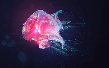Abstract, Jellyfish, Shine, Light, Shadow, Underwater, Submarine HD wallpaper