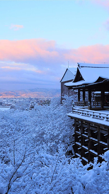 Kyoto City, Urban Landscapes, Dynamic Atmosphere, Modern Meets Tradition HD phone wallpaper