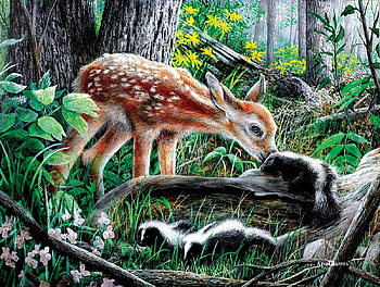 deer and skunk, forest, animals, skunk, deer HD wallpaper