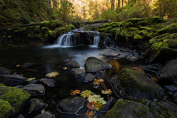Nature, Water, Stones, Autumn, Forest, Creek, Brook HD wallpaper