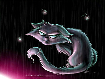 whatcha lookin at ?, purple, smirk, unhappy, cat, evil eyes HD wallpaper