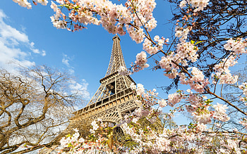 Eiffel Tower, Spring HD wallpaper