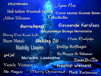 Touching all, many languages, merry christmas, christmas, blue background, greetings, tree HD wallpaper