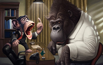 Animals, , Monkeys HD wallpaper