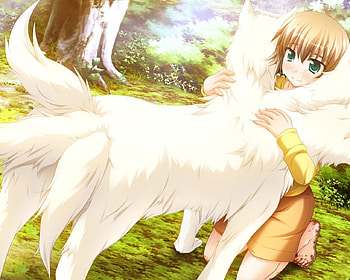 Yaneura no Kanojo, dog, animal, tears, cute, fox, dress, kawaii, anime, tears blush, brown hair, blush, green eyes HD wallpaper