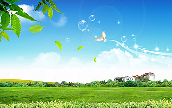 House, Vector, Bubbles, Bird, Wood, Tree, Lawn HD wallpaper