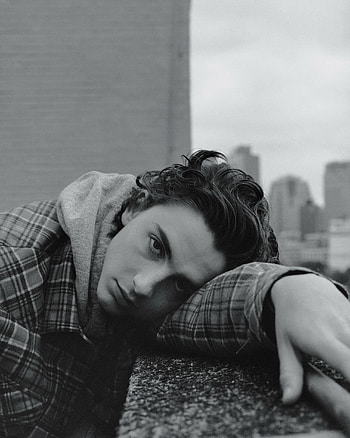 New York Times 2017, Timothee Chalamet HD phone wallpaper