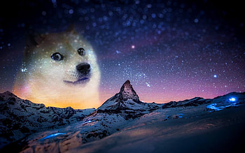 Doge Cosmos Live St HD wallpaper