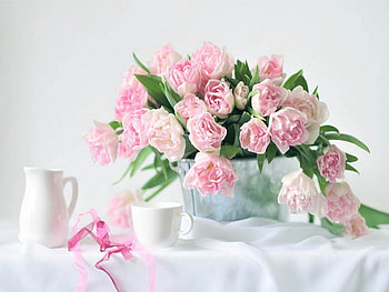 Soft pink tullips, pink, white, ribbon, vase, nature, flowers, tullips HD wallpaper