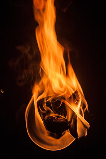 Dramatic close-up of vibrant fire flames and burning wood against a dark background. HD phone wallpaper