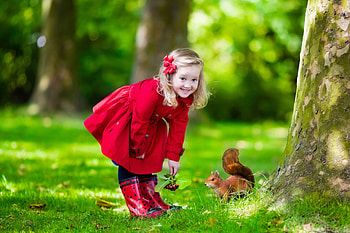 girl and squirrel, animal, trees, nature, girl, squirrel HD wallpaper