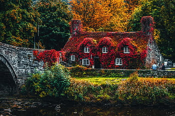 Charming ivy-covered cottage by a stone bridge surrounded by vibrant fall foliage and a peaceful river. HD wallpaper