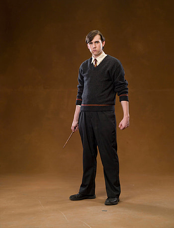 Neville Longbottom, Harry Potter, Portrait, Fan Zone HD phone wallpaper