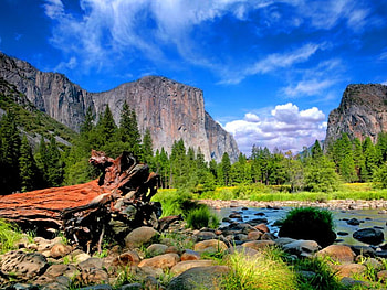 Mountain scenery, river, creek, peaks, nice, shore, scenery, trees, beautiful, grass, rocks, stones, mountain, summer, cliffs, nature, sky, lovely, stream HD wallpaper