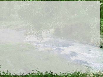 River jungle, nature, rivers HD wallpaper