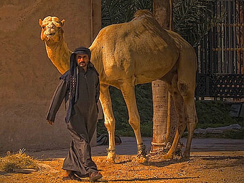 Man w Camel, cool HD wallpaper