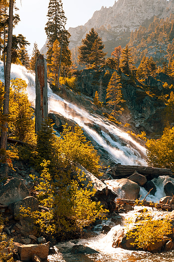 Nature, Rivers, Trees, Stones, Mountain, Flow, Stream HD phone wallpaper