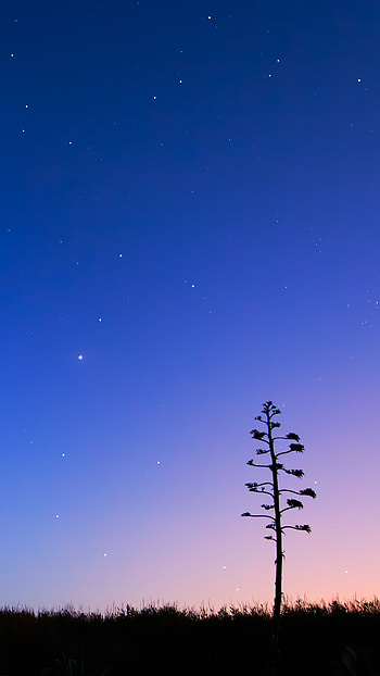 Pure Night Sky 6 HD phone wallpaper