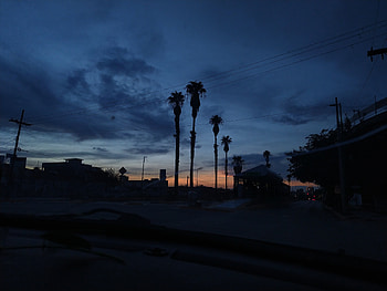 Atardecer, plantas, cielo HD wallpaper