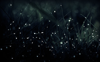 Best Find best latest Best for your PC background & mobile HD wallpaper