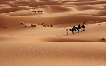 Middle East, Travels, Top backgrounds HD wallpaper