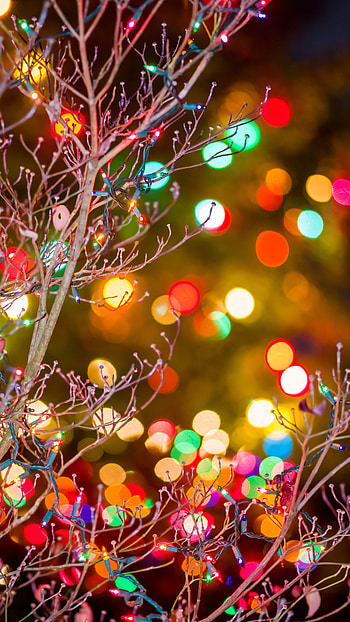 Christmas Lightings, Background, Christmas Lightings Background HD phone wallpaper