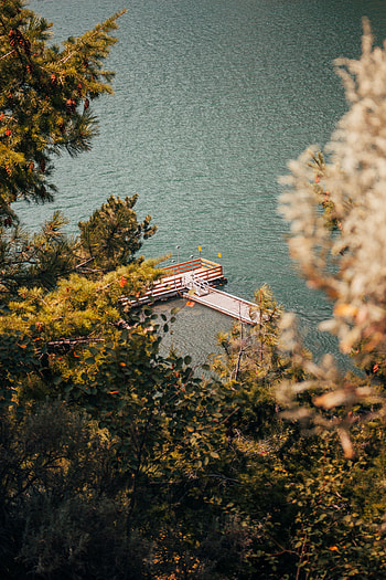 Nature, Rivers, Trees, View From Above, Lake, Pier HD phone wallpaper