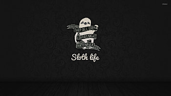 Sloth life - Funny - HD wallpaper