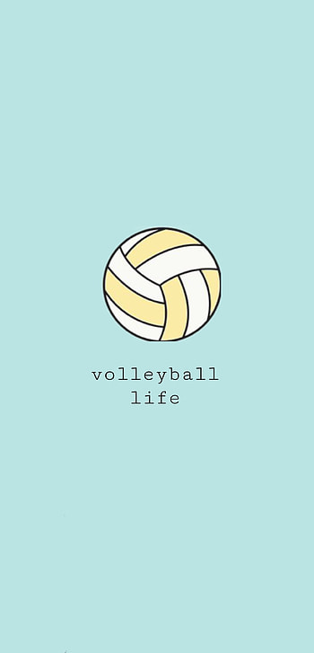 Volleyball, ball, sports equipment HD phone wallpaper