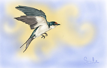 Swallow, bird, art, primavara, etiopian, scaleartandgraphics, randunica, spring HD wallpaper