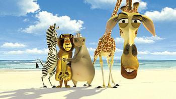 Madagascar, , Background , Animated movie HD wallpaper