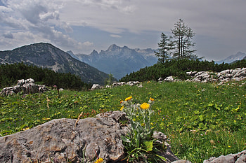 Landscape, Nature, Trees, Mountains, Rocks HD wallpaper