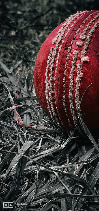 T 20 World cup, Ball, cricket, Grass, pitch HD phone wallpaper