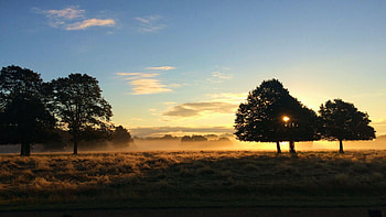 Richmond Park, London, UK, colors, landscape, trees, sky, clouds HD wallpaper