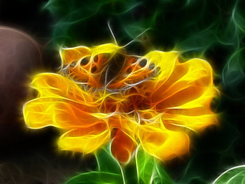 Fractal Yellow Flower and Butterfly, yellow flower, fractal, butterfly, light HD wallpaper